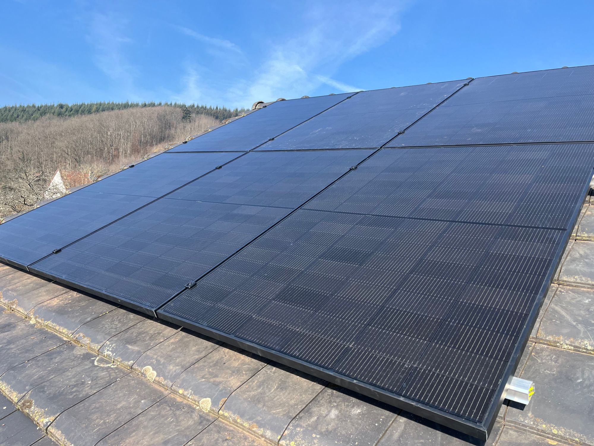 Faut-il couper ses arbres pour installer des panneaux solaires ? Riedisheim